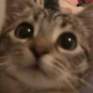 Meet your Posher, Gwyneth